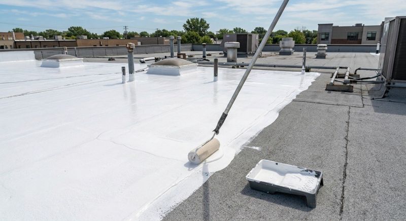 Roof Coating